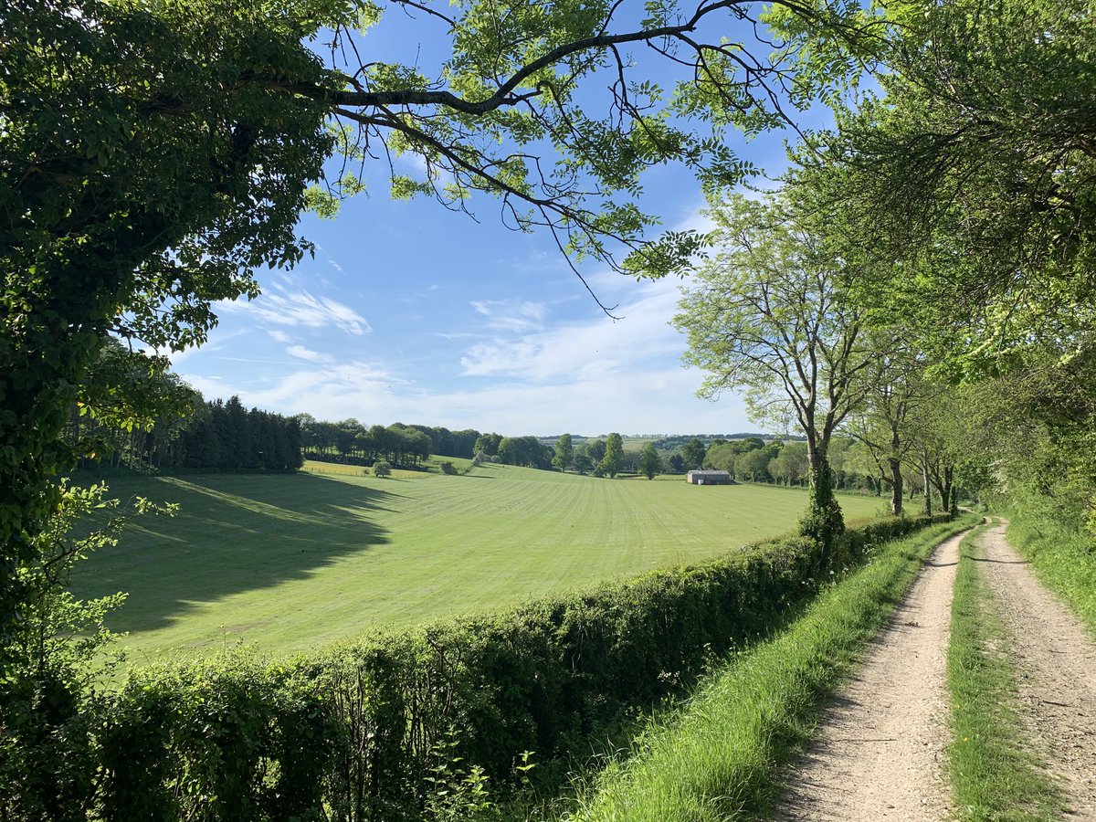 The ⁦@CVHISTORYFEST⁩ site looking utterly lovely this afternoon.  In three weeks’ time the festival will be on the eve of happening.  An amazing filip as we slowly emerge into the sunlit uplands.  cvhf.org.uk