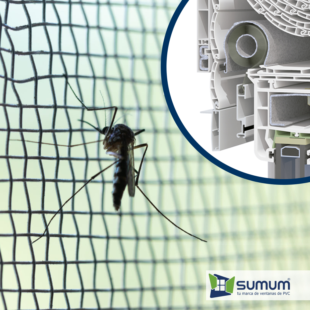 SUMUMPVC's tweet photo. Si al ventilar nuestra vivienda no queremos visitantes no deseados y muy molestos, la mejor opción es un cajón Protex con mosquitera integrada. Es la solución más estética y más eficiente. Pregunta a un distribuidor SUMUM.

#sumum #diseño #estética #ventanassumum https://t.co/RucUnXaPM4