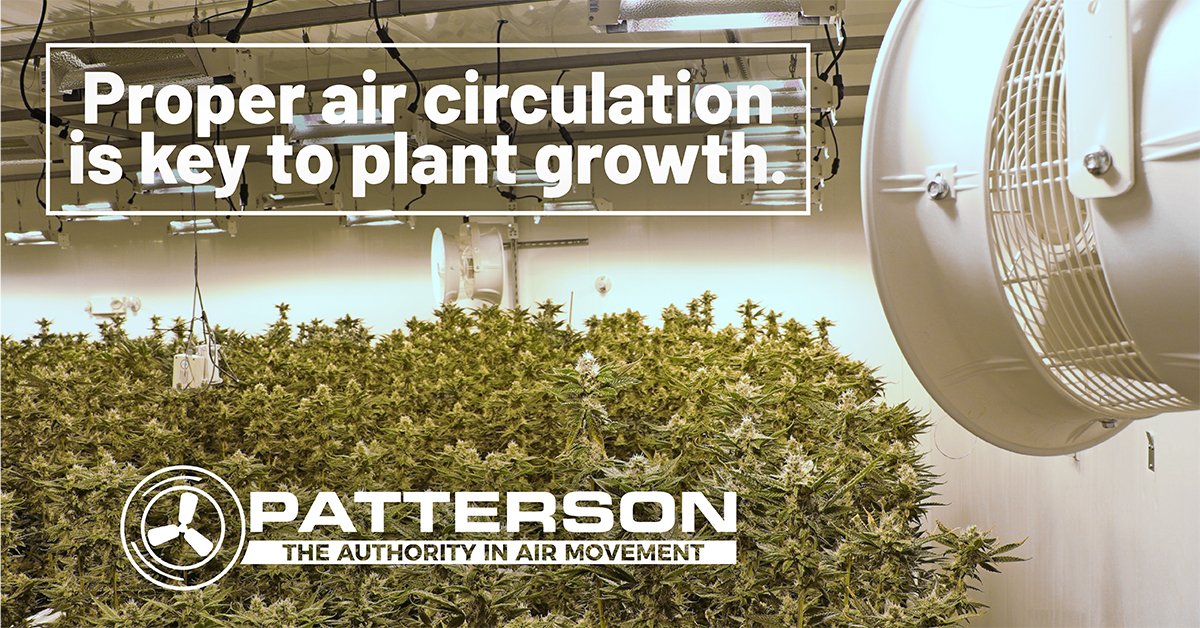MJBizDaily's tweet photo. Ventilation is key! Without airflow systems, your grow room can become a pathogen &amp; pest breeding ground. Improve air circulation with @PattersonFanCo, a premier manufacturer of high-quality industrial fans. Learn more: https://t.co/MPRPJoGcAe 

#pattersonfans #cannabis #ad https://t.co/uUeHCmUd6W