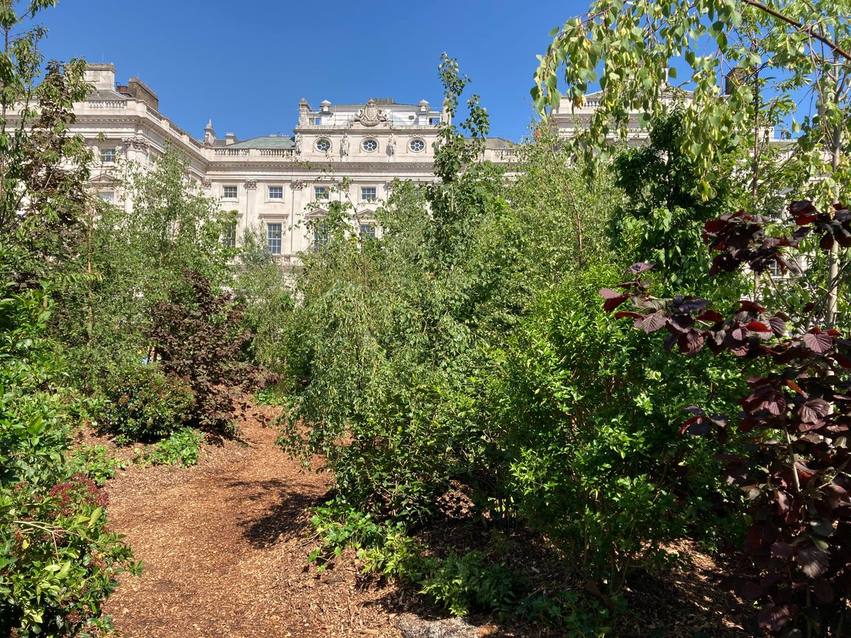 Last time I was here there was an ice rink. Today, the courtyard @somersethouse has transformed into Forest for Change, a welcome green oasis on a scorching hot day for the opening of the London Design Biennale. @londonbiennale