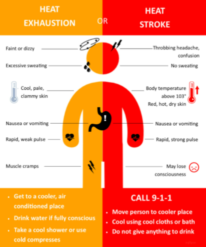 NWSGreatFalls's tweet photo. With 90 degree temperatures ahead, it's time to review the differences between heat exhaustion and heat stroke. Click on the link below to learn more about the symptoms of excessive heat exposure and the appropriate responses. #mtws
https://t.co/iFjuQ2y17u #WeatherReady https://t.co/RwRla5kDUj