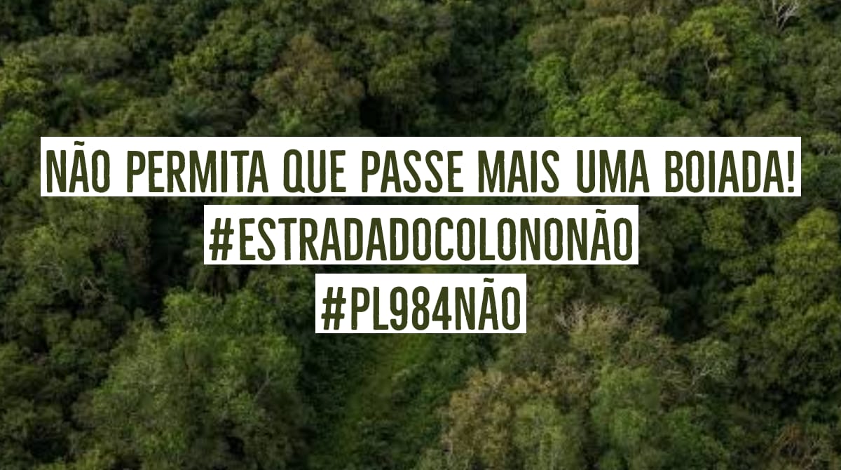 sesunila's tweet photo. Essa boiada não pode pasar! Fora Salles! #PL984Nao #EstradaDoColonoNAO https://t.co/T38fiCYnMi