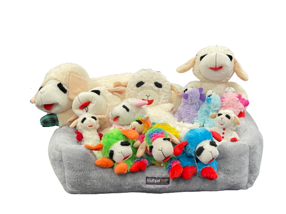 We have a full selection of styles and colors! <a href="/Interzoo_fair/">Interzoo Trade Fair</a>