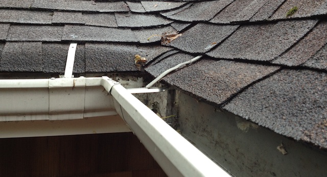 TAG_Contractors's tweet photo. Here at TAG, we specialize in restorations, remodeling, additions, garages, roof repairs, roof replacements and more. No matter your project, we guarantee high-quality construction for each and every time.
https://t.co/tBtOg6M07b https://t.co/zdX31OSAVw