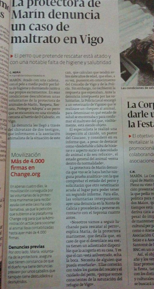 Andrea tweet media