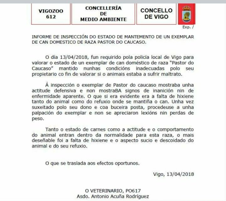 Andrea tweet media