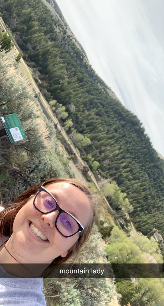 Emma goes (went) to the mountains