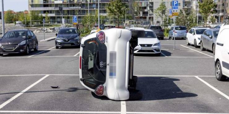 UncleDuke1969's tweet image. looks like someone ordered the brontosaurus ribs