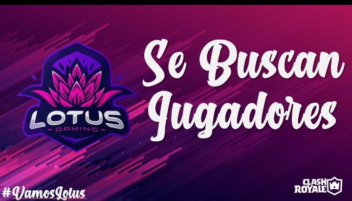 Reclutamiento | #ClashRoyale 

Estamos en busca de jugadores para reforzar nuestro roster de cara a futuras competiciones. 

Si estás interesado mandar MD para mayor información sobre los beneficios 

Se agradece ❤️ y RT