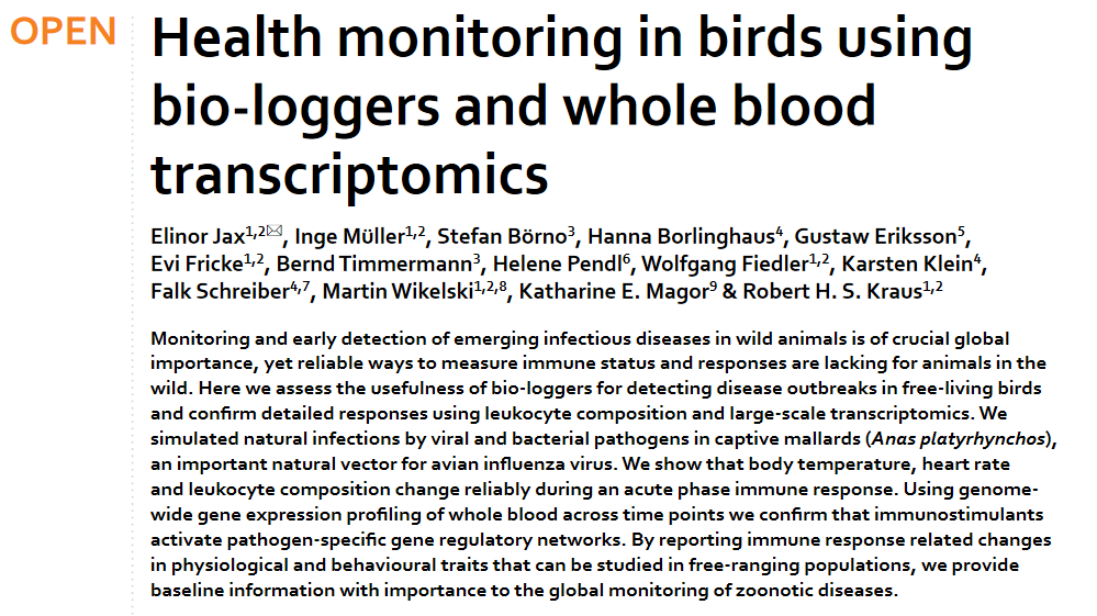 rhskraus's tweet photo. Thanks *Team* for this amazing #interdisciplinary study in the adventures of joining #technologies as different as #GPS tracking and #transcriptomics! #disease #ecology #ducks #ornithology #mallards

https://t.co/dQvWoi5CXC https://t.co/WBMdhp7WJk