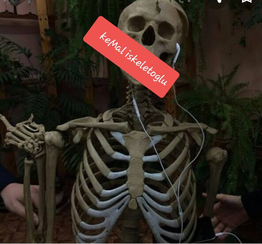 Cehape 2053 cumhurbaşkanı adayı