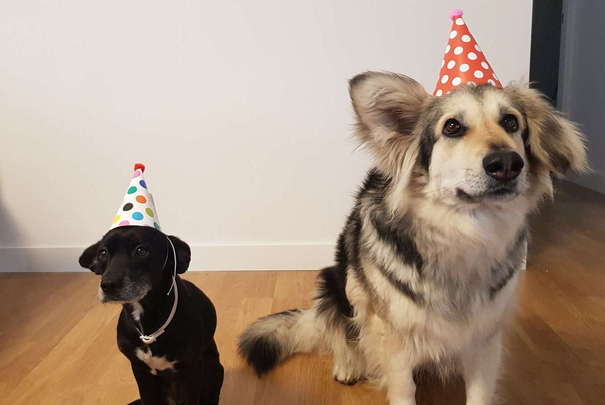 mc2games tweet media