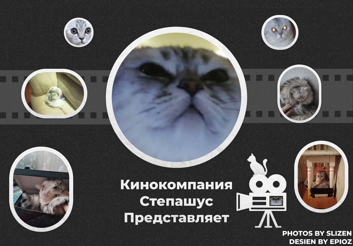 Slizen18's tweet photo. Мы с моим другом постарались и сделали этот шедевр с моим котом) @MEpioz вот мой друг. https://t.co/NnJZsNji53