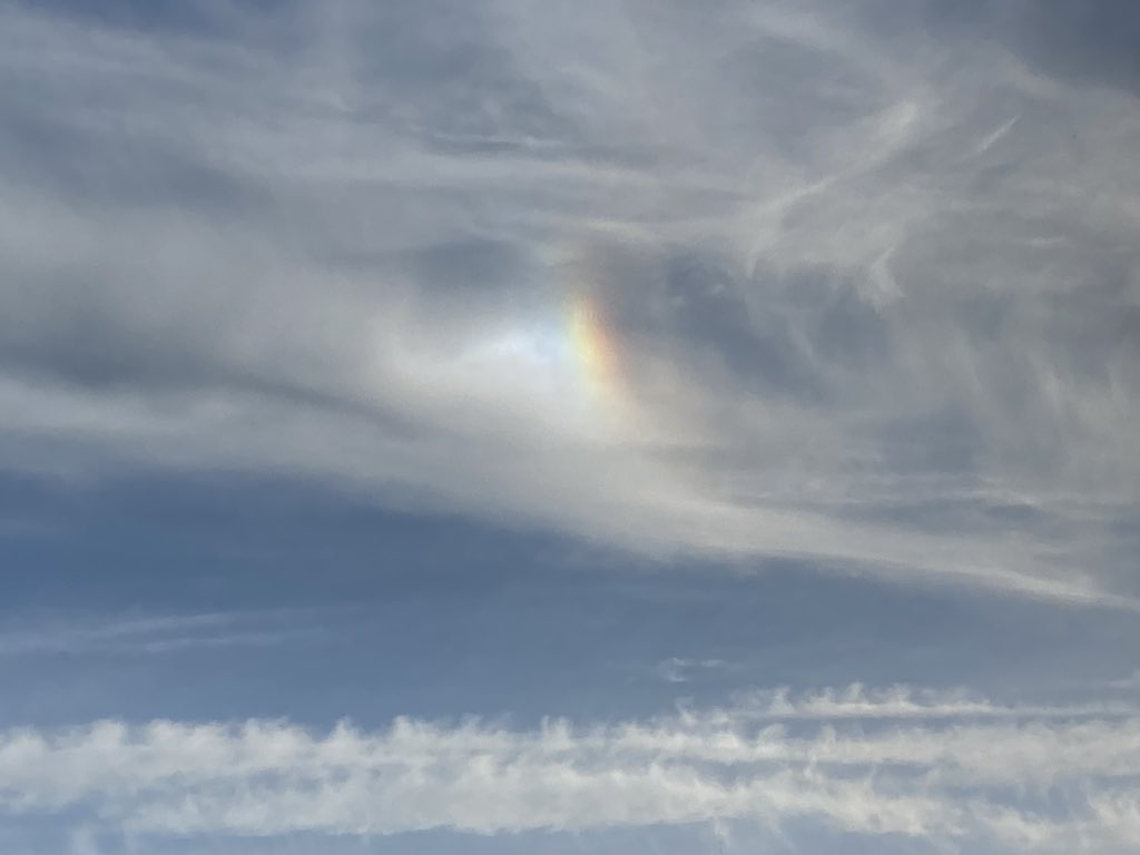 Wendy White @wendysotonlib.bsky.social tweet media