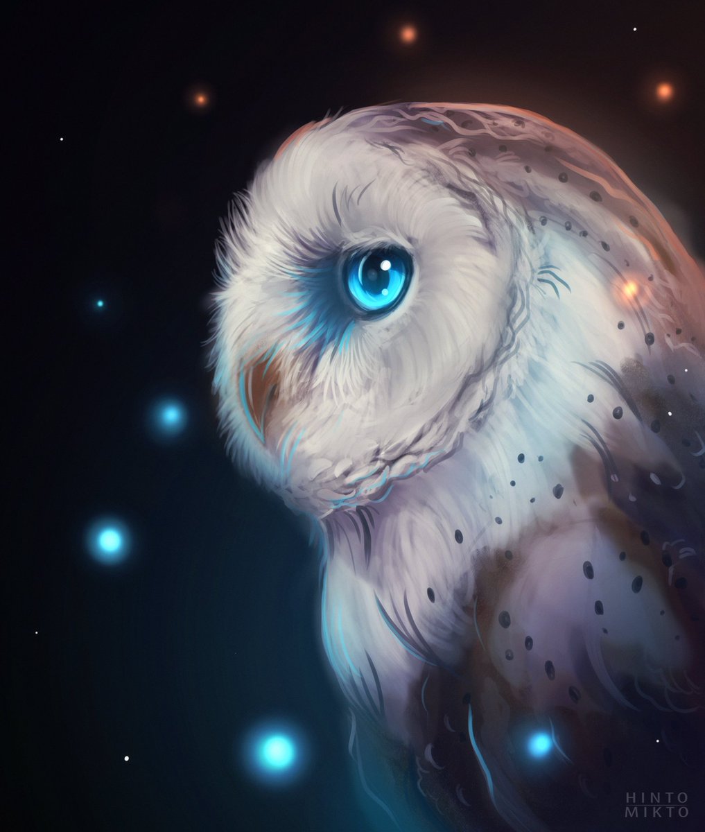 Hintowl's tweet photo. Comparto estos dibujitos hechos en @clipstudiopaint~ :D

 Feliz #ClipStudioCommunityDay !!~ https://t.co/JqqVkJdUW4