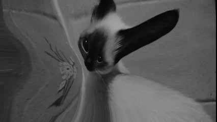 بحبك أأوتااا