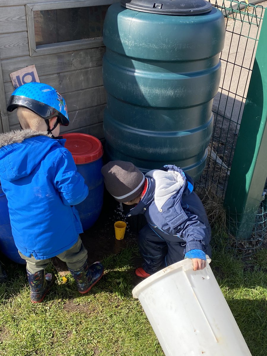 Seafield Nursery tweet media