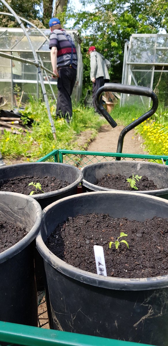 RainbowBizUK's tweet photo. Can you help? We are looking for "scaffolding netting" to cover our polytunnel frame at #DiggingDeeside our community gardening project. Please DM or email info@rainbowbiz.org.uk if you can help. This would make such a difference to the people we support 💚🌱🌻💚 https://t.co/JpMOGsiQHA