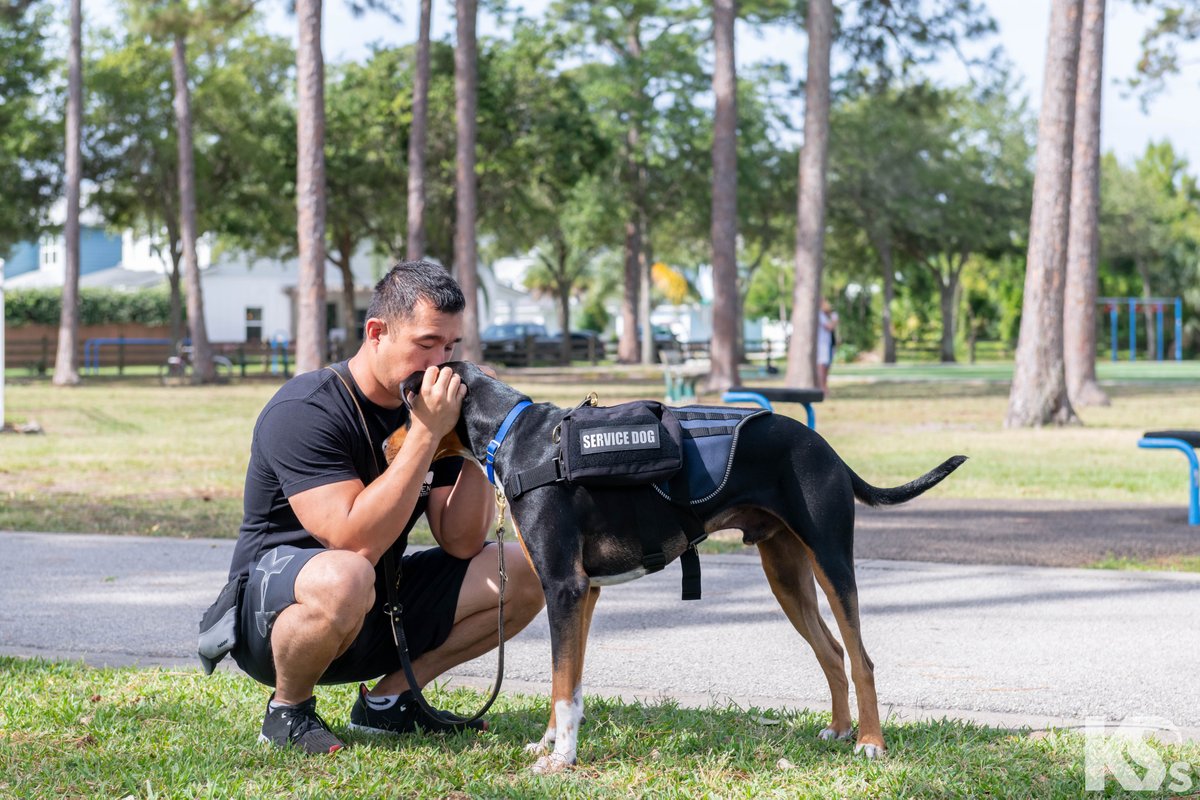 June 1 marks the beginning of #PTSDAwarenessMonth.

K9s For Warriors remains committed to serving veterans with #posttraumaticstress, traumatic brain injury, and/or military sexual trauma. 

Roughly 20 veterans per day die by suicide, and that is 20 too many.

#PTSD #ServiceDog