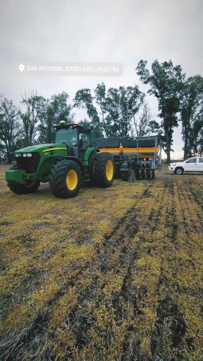 francofarias07's tweet photo. Mañanita movida. Se va otro comparativo de rinde!! Largamos con más de 30 variedades... Se va a poner lindo 💪🌾. Campo "la Gabi" @DONMARIOoficial . Gracias @agronasajaok 🤝🤟 https://t.co/zJZzF8EeSo