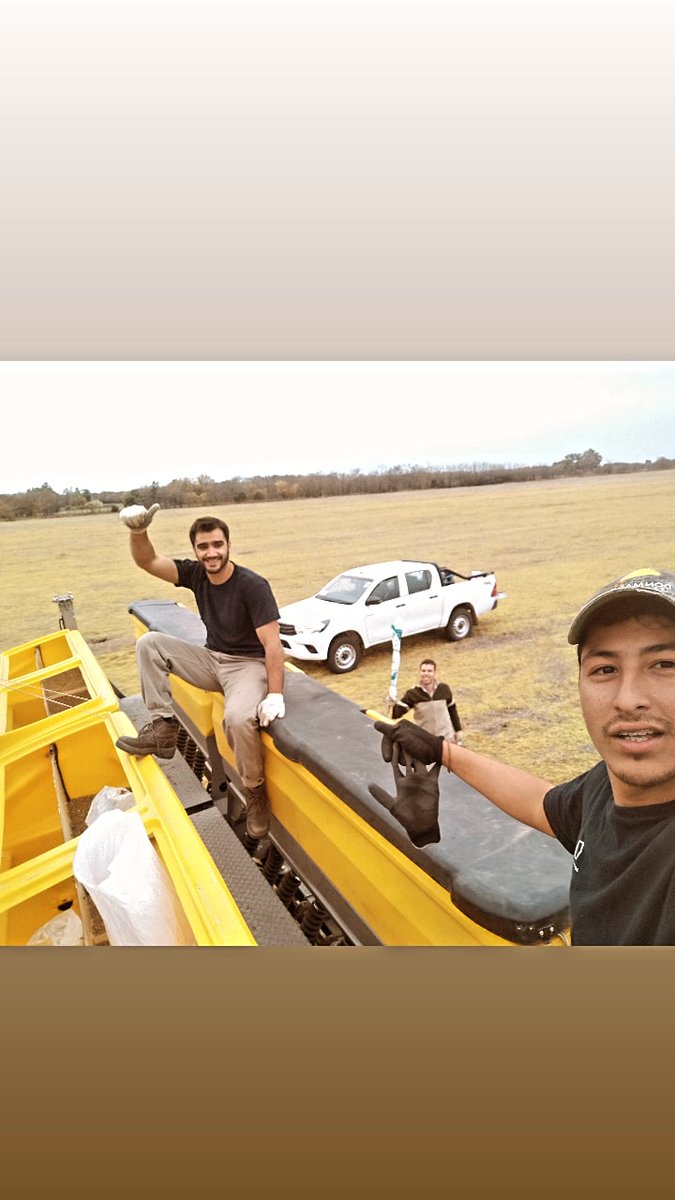 francofarias07's tweet photo. Mañanita movida. Se va otro comparativo de rinde!! Largamos con más de 30 variedades... Se va a poner lindo 💪🌾. Campo "la Gabi" @DONMARIOoficial . Gracias @agronasajaok 🤝🤟 https://t.co/zJZzF8EeSo