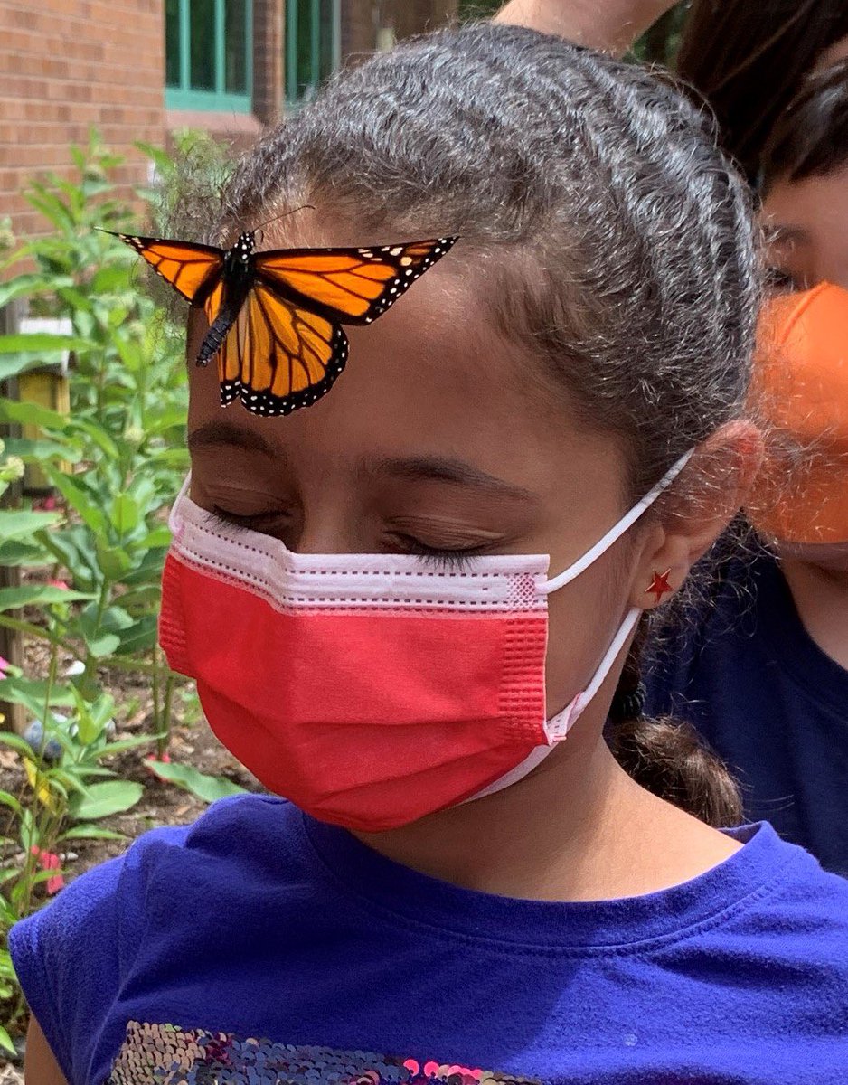 Centreville ES tweet media