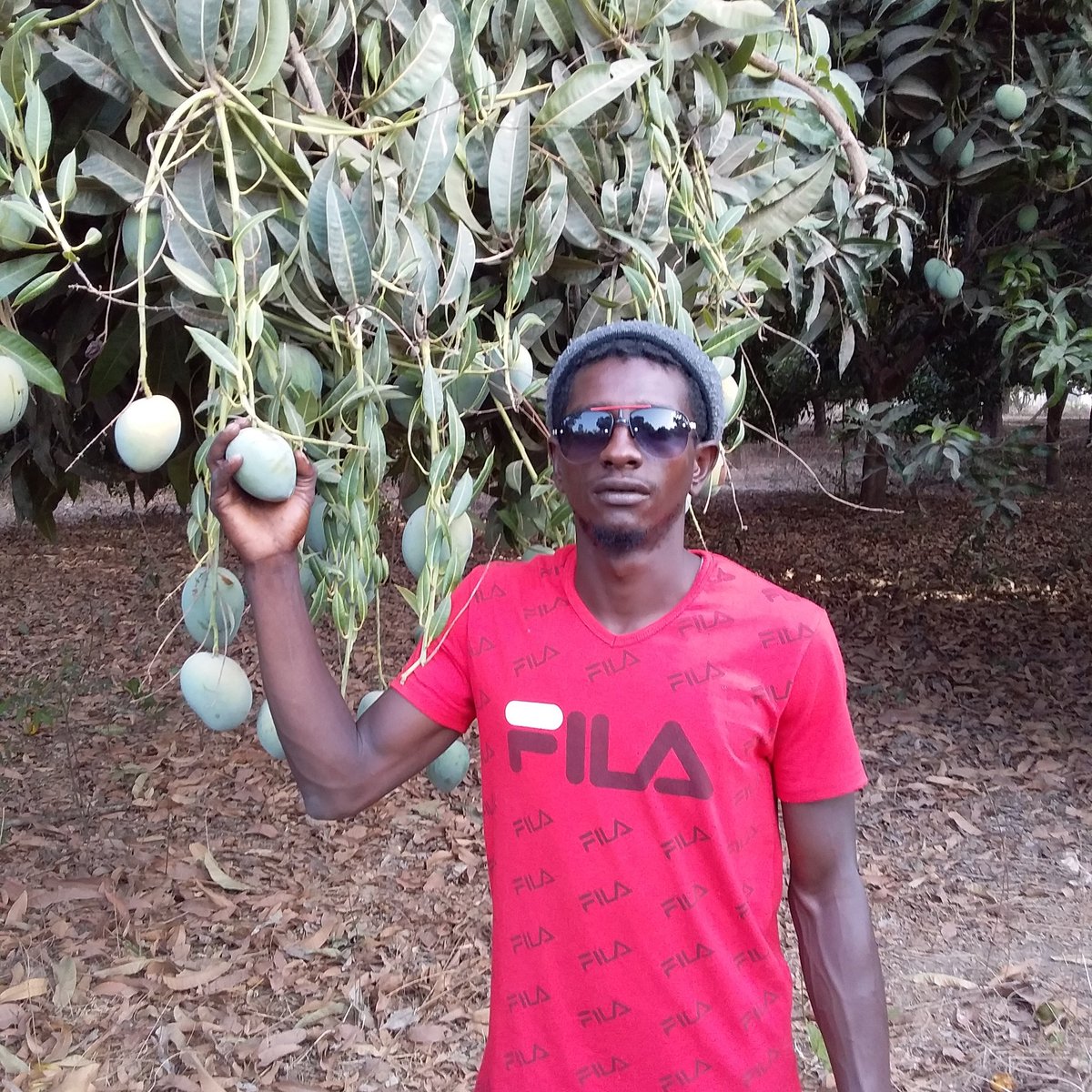 Alieu Jallow (@alieuja19918637) on Twitter photo 