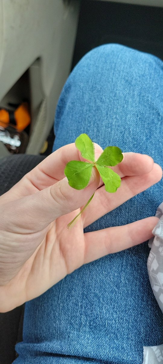 dejojack's tweet image. LET'S FUCKING GOOOOO