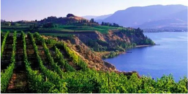 SCI_BC's tweet photo. During #National AccessAbility Week, @accessiblebc, @VisitPenticton and @TOTABCNews will be completing access and inclusion site visits within Keremeos, Cawston, Penticton and Naramata—improving accessibility and experiences! https://t.co/O0qqFU5jz3  https://t.co/5dyOW2mjEg https://t.co/j2OrTH5ZDG