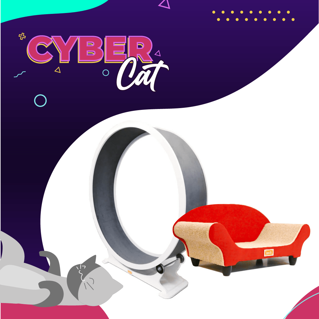 Felinuscl's tweet photo. En este #CyberDay les presentamos las maravillosas creaciones de @bocetolimitada 😻✨ Encuentra la exclusiva rueda trotadora, Rascador Diván y más en nuestra página web https://t.co/T2zxENBYdw con increíbles descuentos! 🌟 
.
.
.
#Cyber2021 #CyberCat #FelinusCL #Gatos https://t.co/PwqzHiP0yW