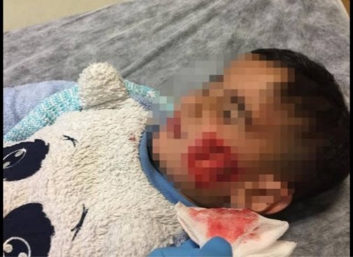 Hayvan hakları diye bağıranlar....Sokak köpekleri sayenizde,
sokaklarda serseri mayın gibi dolaşıp, hergün bir çocuğu parçalıyor. Sokak köpeği yoktur. Başıboş köpek vardır. Kimin ocağını söndüreceğinin de garantisi yoktur. Köpek seven köpeği sahiplensin. Devlete yük etmeyin