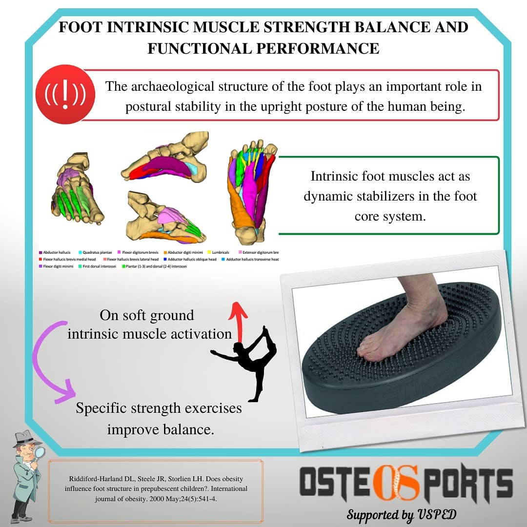 Osteosports (@osteosportscom) on Twitter photo 