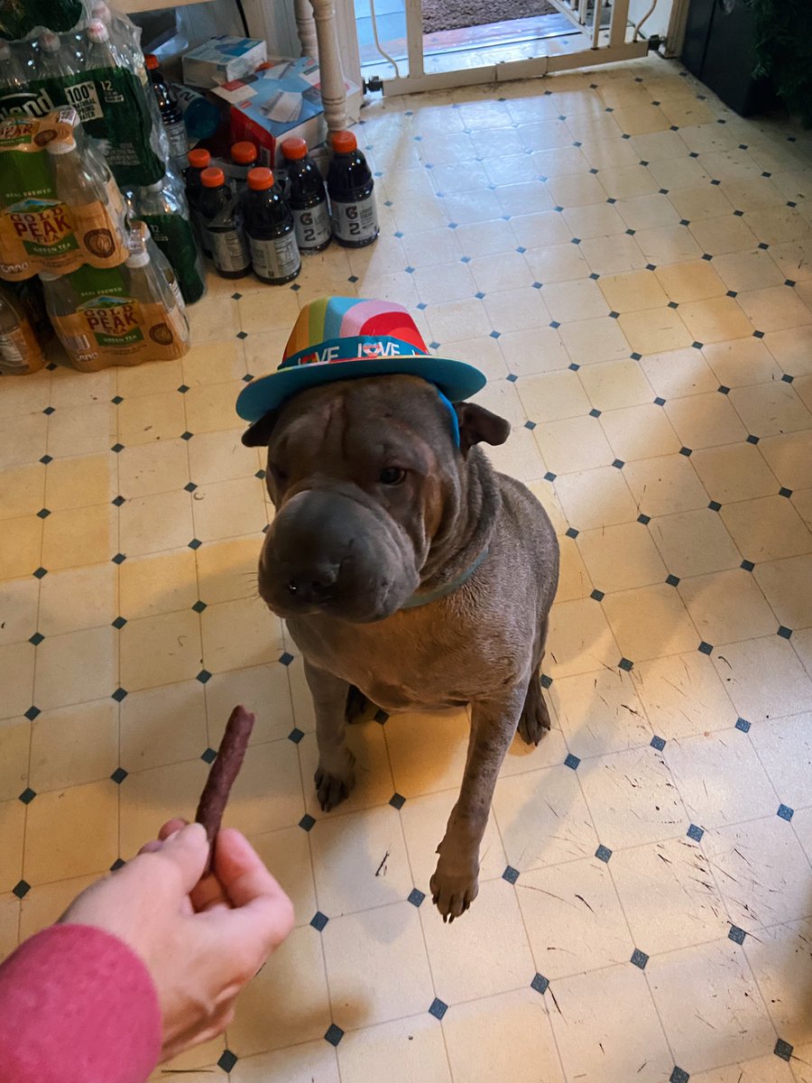 misss_rah's tweet photo. Mack says happy pride month!!! ❤️🧡💛💚💙 #pride #Pride2021 #PrideMonth https://t.co/L665vJzVWp