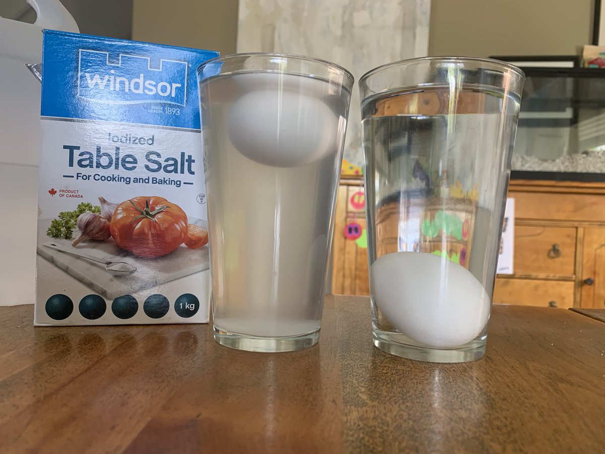 mrsflewelling27's tweet photo. #testitouttuesday eggcellent eggsperiments are back!! The best experiments are the ones that we get to check back on in the morning! Thanks to our scientist @BlakeySabrina these have been an essential part of our weeks all year👍 @oakleybarrie @SCDSBey https://t.co/62dQghKvAV
