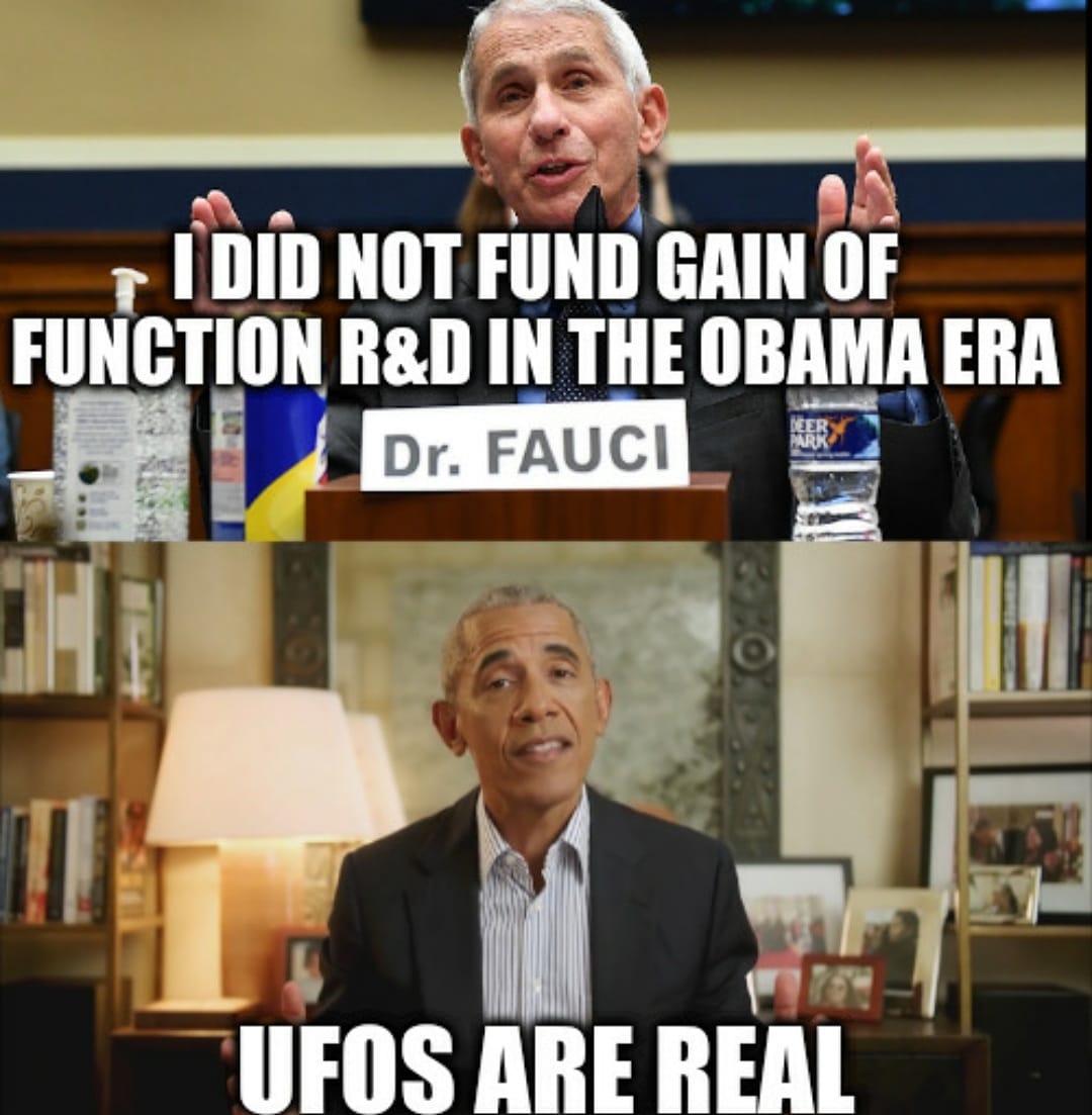 tinfoil vindicated NFT tweet media