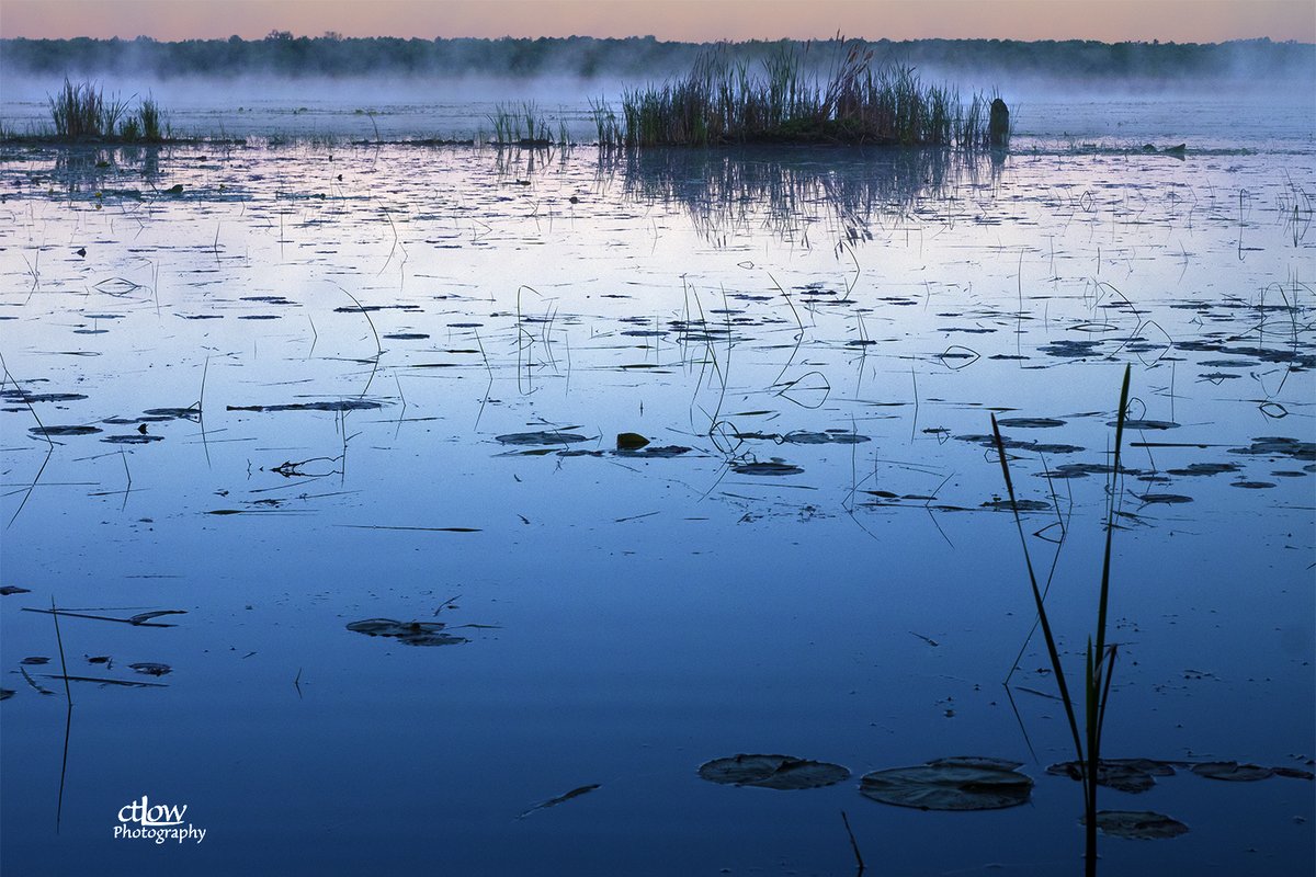 LowCkas's tweet photo. The #BackPond with #fog at #sunrise. @CataraquiCA #MacJohnsonConservationArea #ctLowArt #ctLowPhotography https://t.co/LrQ45h6srV
