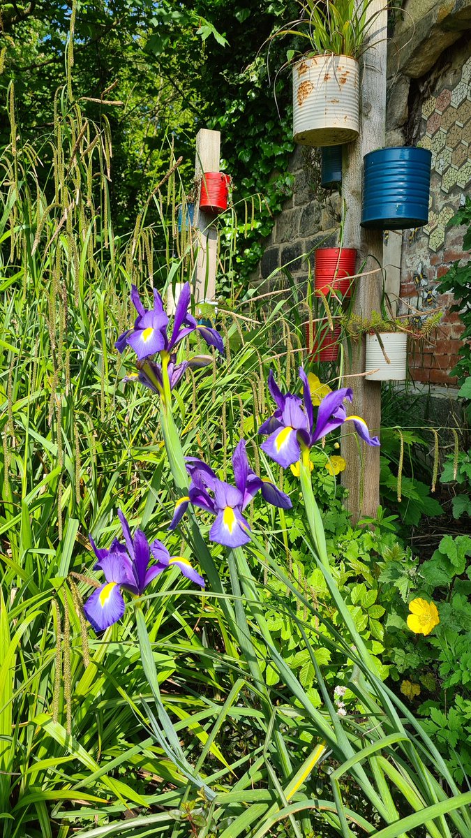 Kirkstall In Bloom tweet media