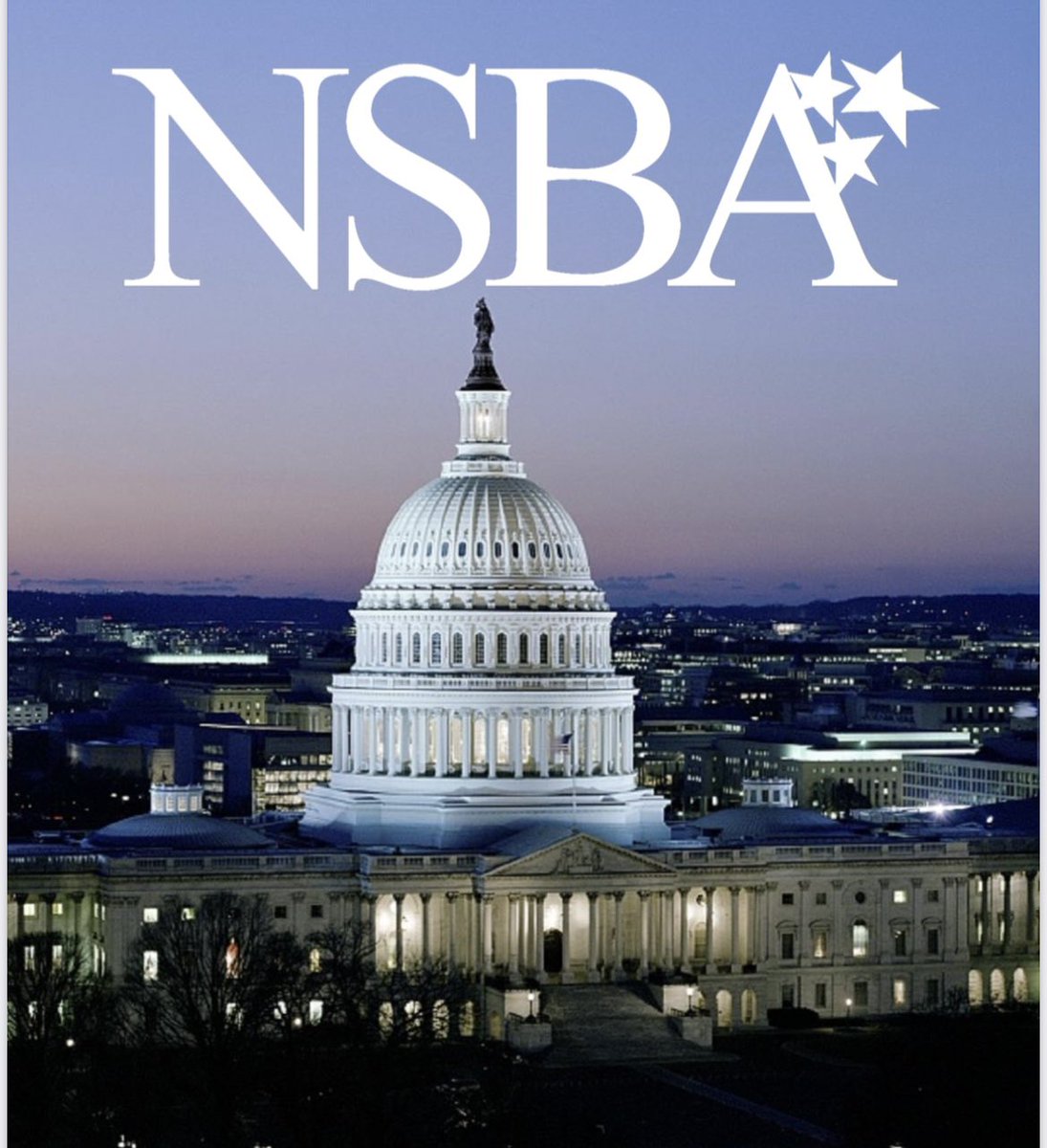 discoverychiro's tweet photo. Congratulations  to Dr. LaTanya Bowman for being asked to be part of the National Small Business Assoc. Leaership Council. We are all super proud of you, and know you are going to represent the nations small business community extremely well. 
#smallbusiness
#entrepreneurship https://t.co/aBB4a6h0fl