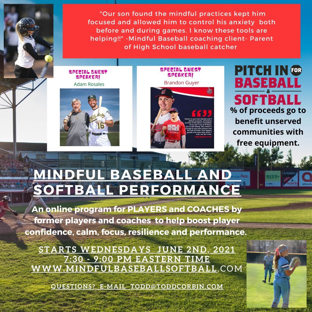 Baseball Utility tweet media
