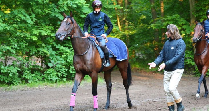 #JockeyClub FORT PAYNE : la force tranquille 🎥 equidia.fr/articles/actua…