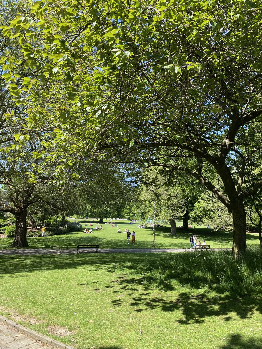 maria_shinn's tweet photo. Summertime in Sheffield surprisingly nice and great history including beautiful parks. Can see why the students love it @sheffielduni #sheffieldsummer #withtheboy #britishsummertime @SuzanneCulshaw these@may be familiar places to you too 🙂 https://t.co/u3DMx38Zb5