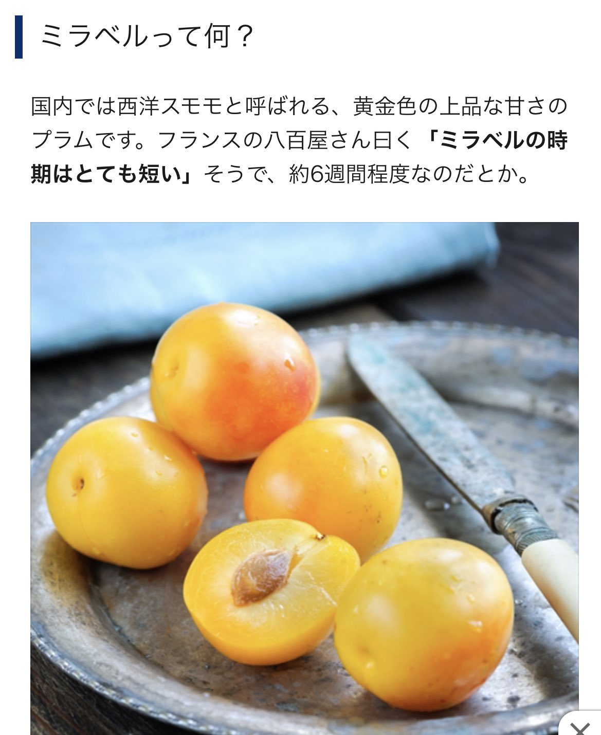 Shino 六月はフルーツ系で ミラベルのシーシャ 西洋スモモです このお酒メチャクチャ美味しんですが もう日本に流通してなくて 残念ですがこれを再現しました T Co Bwx0wc3bha Twitter