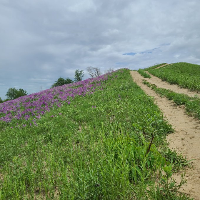 Today's hike https://t.co/Poxz1amr1w<a href="/tag/mvsales"class="tags"><span>#mvsales</span></a>