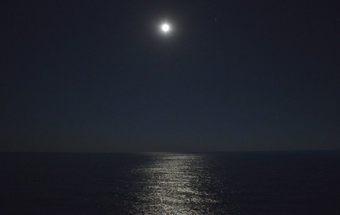 صقران tweet media