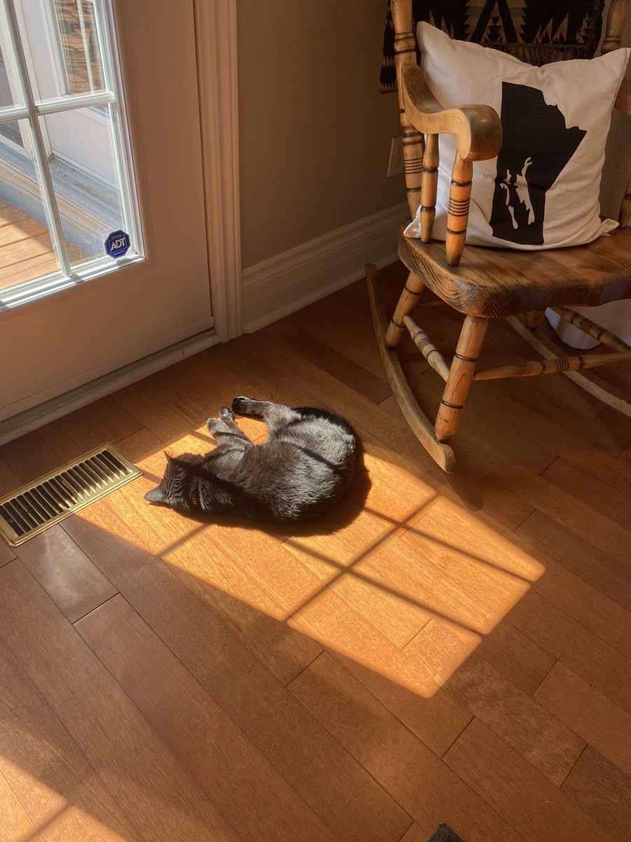 JeannineRitchot's tweet photo. Time for my afternoon office visit from Sadie.
Toujours à la recherche d’un rayon de soleil...
#MyNRCan #MonRNCan #workfromhome #travailàdomicile https://t.co/QhBz9Yqrp8