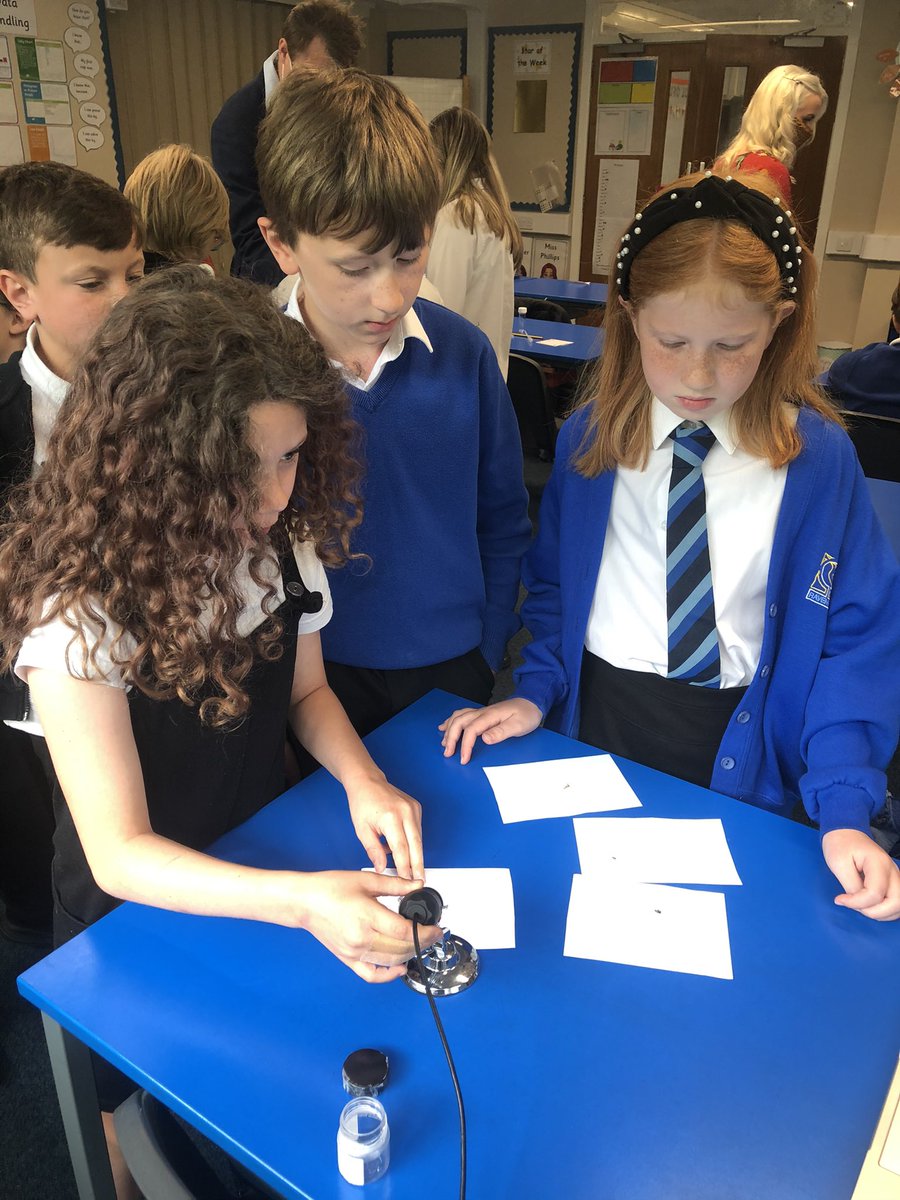 Primary 5 enjoyed learning about microorganisms from <a href="/MrDormanSTEM/">MrDormanSTEM</a> today.  Thank you for sharing your knowledge with us! 🔬🔍
