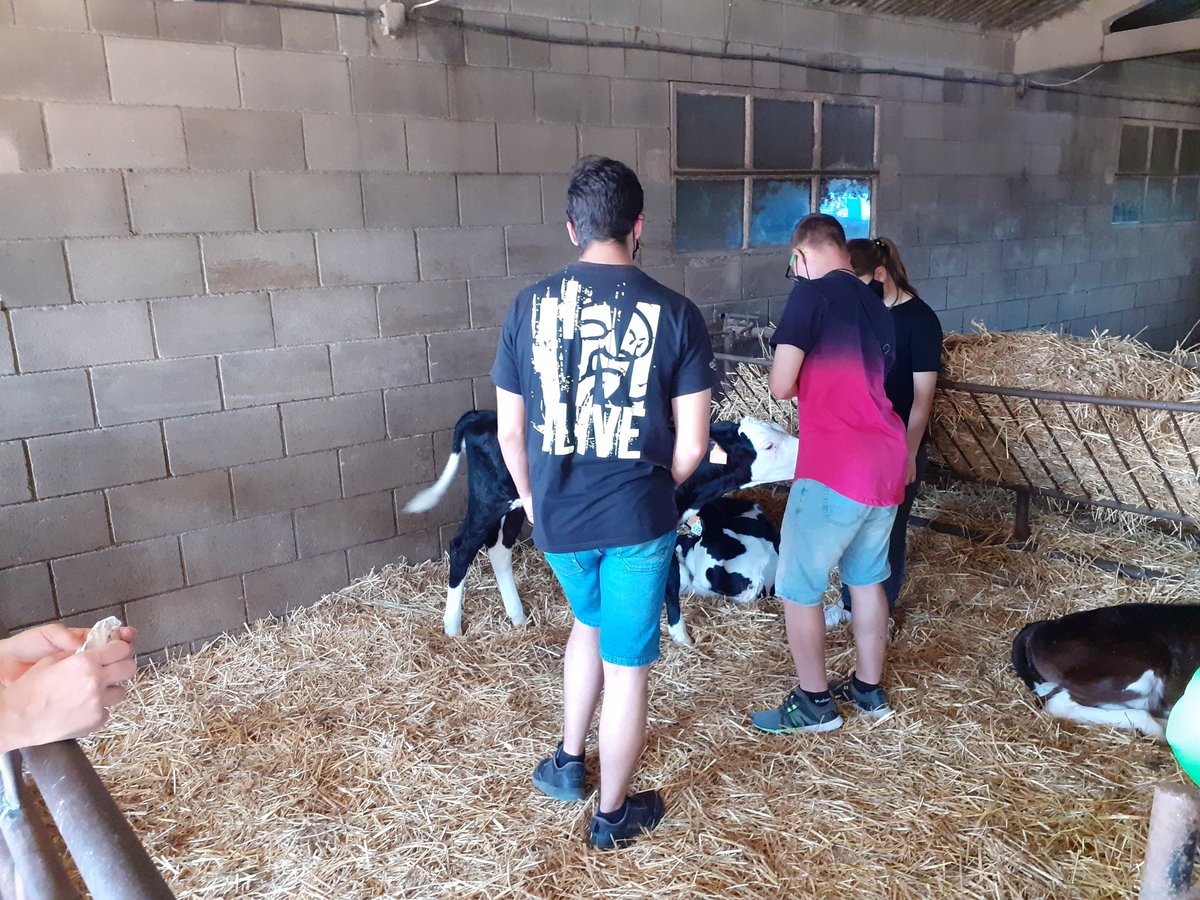 Alex_Pereznav's tweet photo. Gran experiència avui amb 1r i 2n #IFE de @INS_Pla_Marcell a la granja de Can Bordoi i la seva formatgeria Mogent. Visita guiada de la granja amb la Montse i taller de mató km0. Boníssim! https://t.co/m9pRBSR3Qt