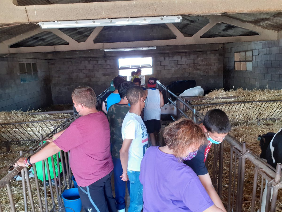 Alex_Pereznav's tweet photo. Gran experiència avui amb 1r i 2n #IFE de @INS_Pla_Marcell a la granja de Can Bordoi i la seva formatgeria Mogent. Visita guiada de la granja amb la Montse i taller de mató km0. Boníssim! https://t.co/m9pRBSR3Qt