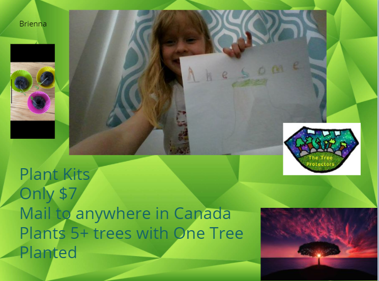 MsGaleOCSB's tweet photo. Mail your plant kits anywhere in #Canada! #TheTreeProtectors have been sending them all over @ottawacity, Kanata to @cityoftoronto &amp; @citymississauga! Help the #Earth, #planttrees - donate or buy yours today from 🌱https://t.co/8tADL7eafC 🌱#socialenterprise #SaveTheWorld @ocsbDL https://t.co/8TzHiSa6fb