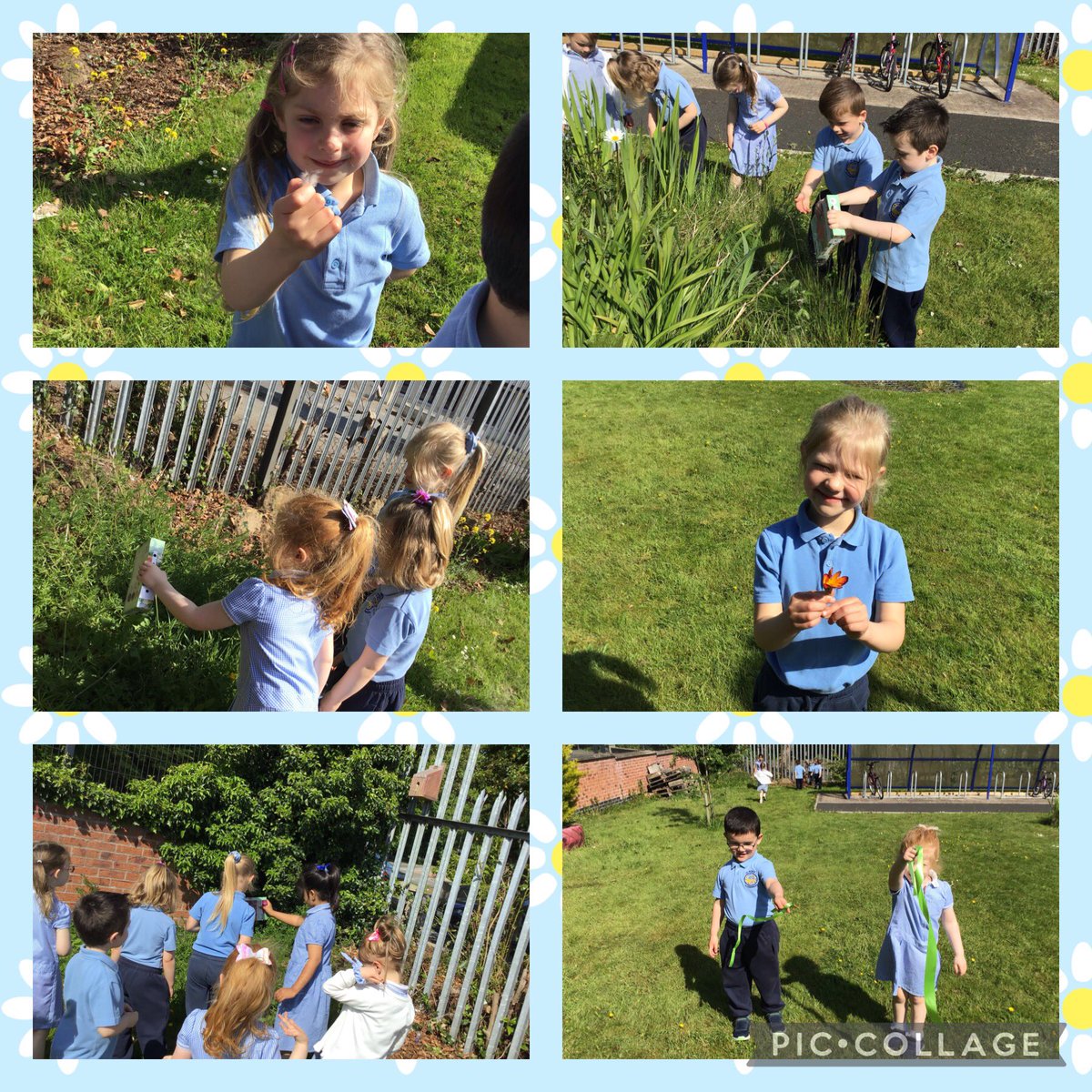 Last week Mrs Matthews’ group planted some wildflower seeds in the school garden. While we were there we did a little spring clean and filled a full bag rubbish! Please visit our garden but treat it with care and leave no trace 🌼🌸☀️ #stppsSGT #stppsOUTDOORS